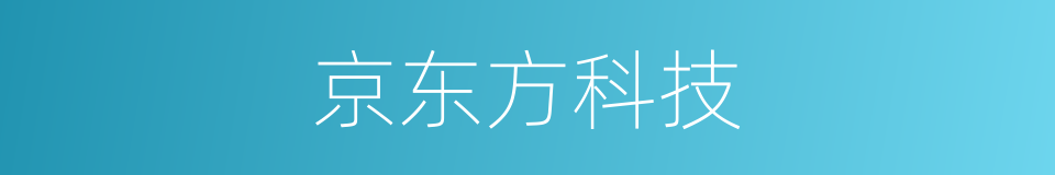 京东方科技的同义词