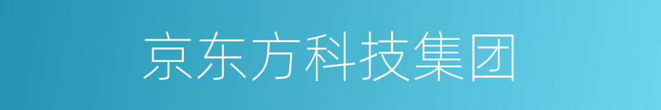 京东方科技集团的同义词