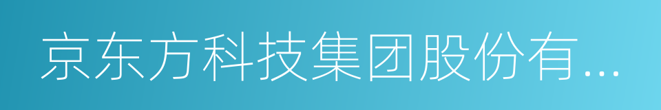 京东方科技集团股份有限公司的同义词