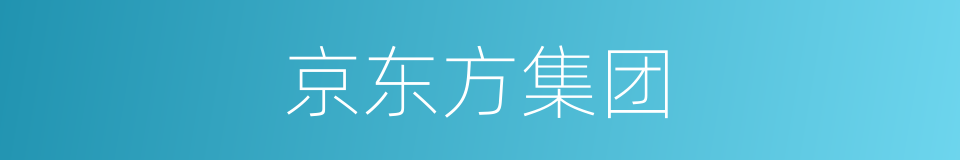 京东方集团的同义词