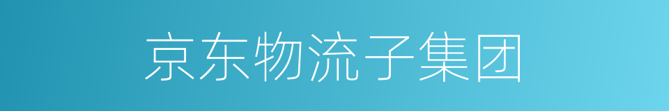 京东物流子集团的同义词