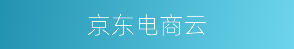 京东电商云的同义词