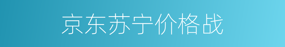 京东苏宁价格战的同义词