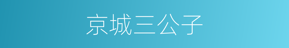 京城三公子的同义词