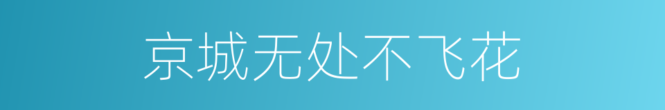 京城无处不飞花的同义词