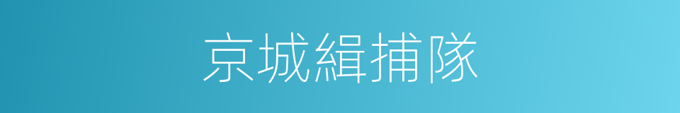 京城緝捕隊的同義詞