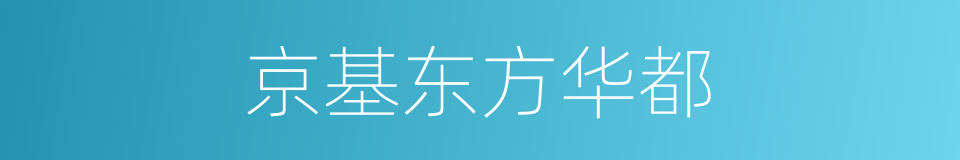 京基东方华都的同义词