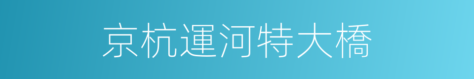 京杭運河特大橋的同義詞