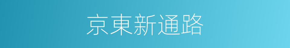 京東新通路的同義詞