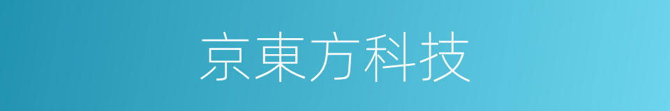 京東方科技的同義詞