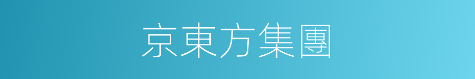 京東方集團的同義詞