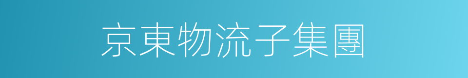 京東物流子集團的同義詞