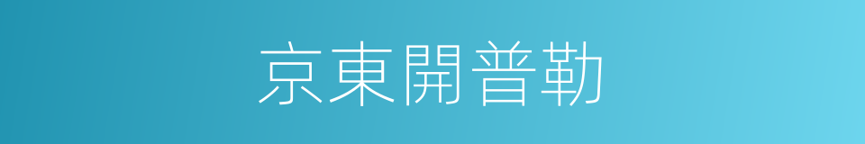 京東開普勒的同義詞