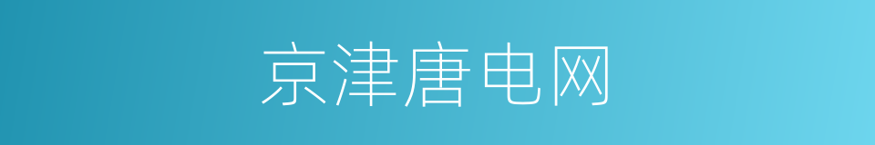 京津唐电网的同义词