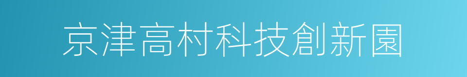 京津高村科技創新園的同義詞