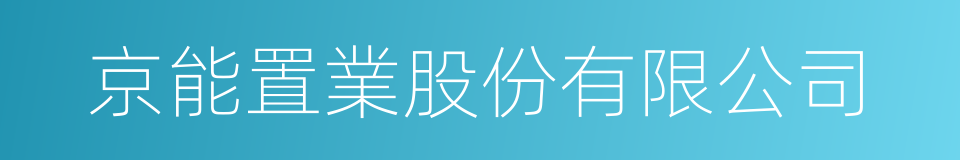 京能置業股份有限公司的同義詞