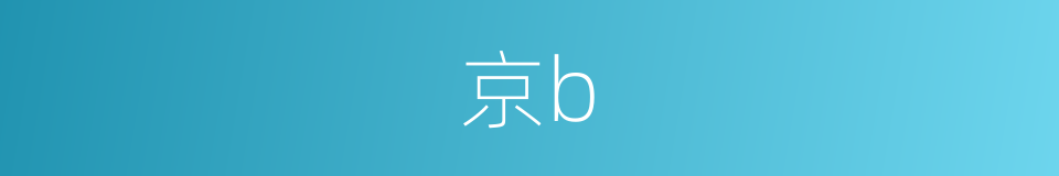 京b的同义词