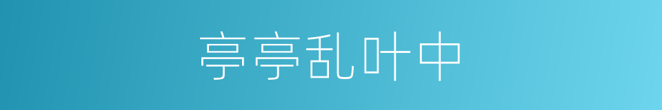 亭亭乱叶中的同义词