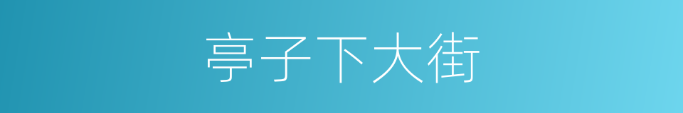 亭子下大街的同义词