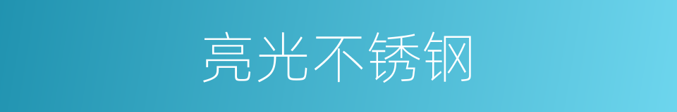 亮光不锈钢的同义词