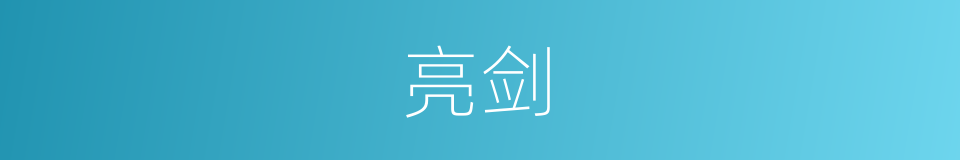 亮剑的意思