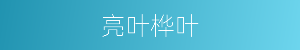 亮叶桦叶的同义词