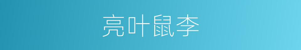 亮叶鼠李的同义词
