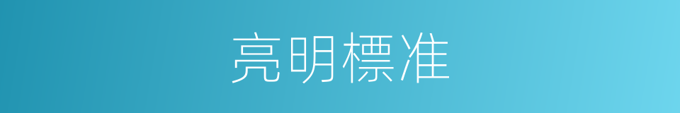 亮明標准的同義詞