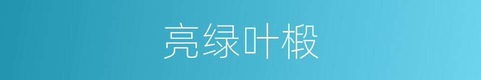 亮绿叶椴的同义词