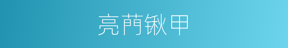 亮菛锹甲的同义词