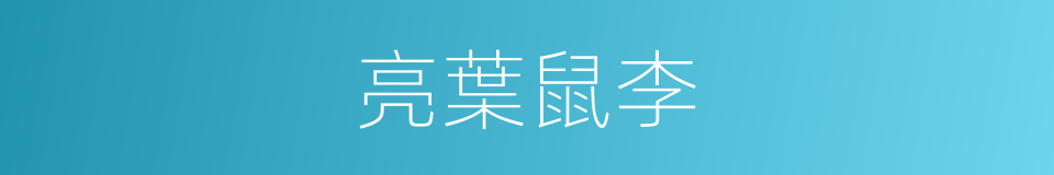 亮葉鼠李的同義詞