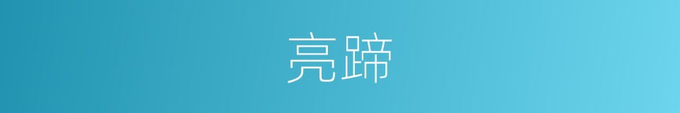 亮蹄的同义词