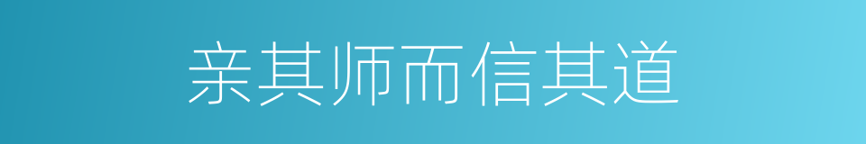 亲其师而信其道的同义词