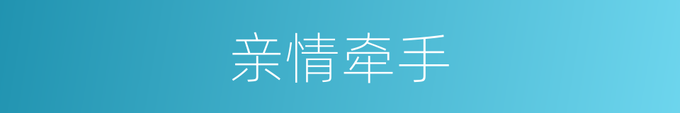 亲情牵手的同义词