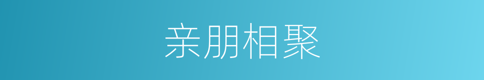 亲朋相聚的同义词