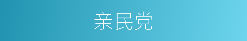 亲民党的同义词