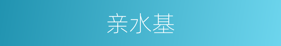 亲水基的同义词