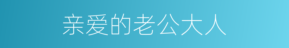 亲爱的老公大人的同义词