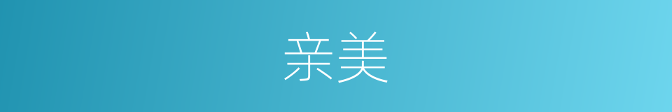 亲美的同义词