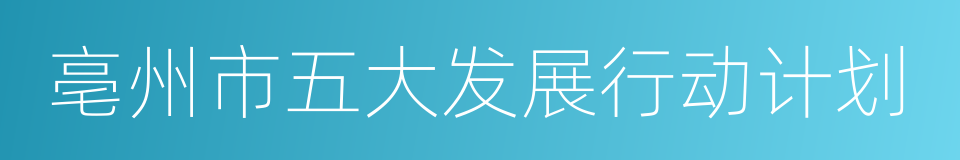 亳州市五大发展行动计划的同义词