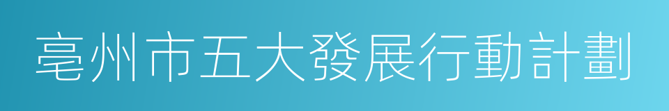 亳州市五大發展行動計劃的同義詞