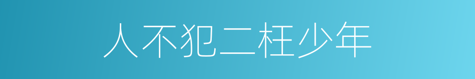 人不犯二枉少年的同义词