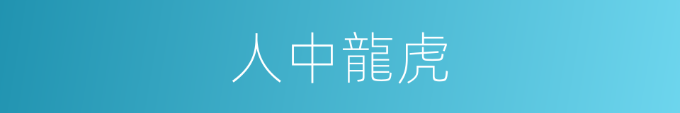 人中龍虎的意思