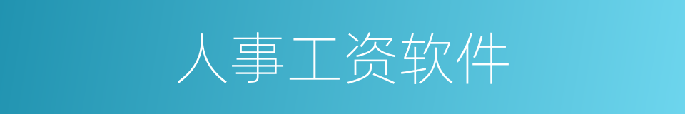 人事工资软件的同义词