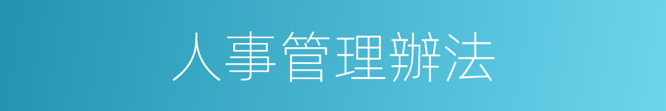 人事管理辦法的同義詞