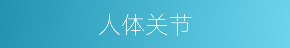 人体关节的同义词