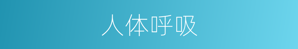 人体呼吸的同义词