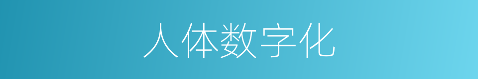 人体数字化的同义词