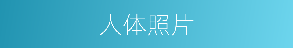 人体照片的同义词