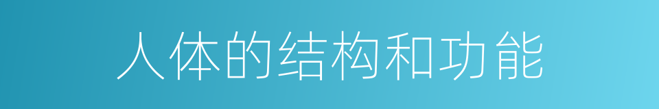 人体的结构和功能的同义词